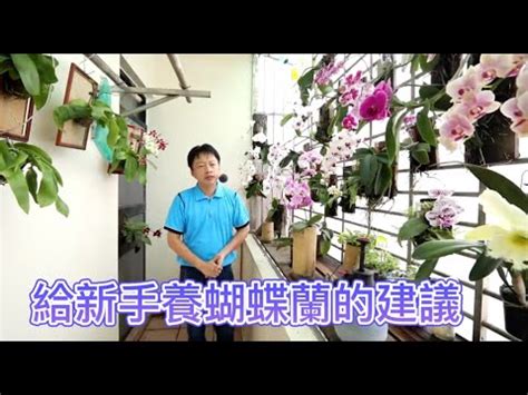 迷你蘭花照顧|【迷你蘭花照顧】教你如何照顧 